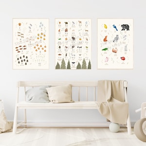 Woodland Alphabet Number Chart Colores primarios 3 piezas Wall Art / Woodland Theme / Educational Wall Art / Woodland Creatures Learning Posters