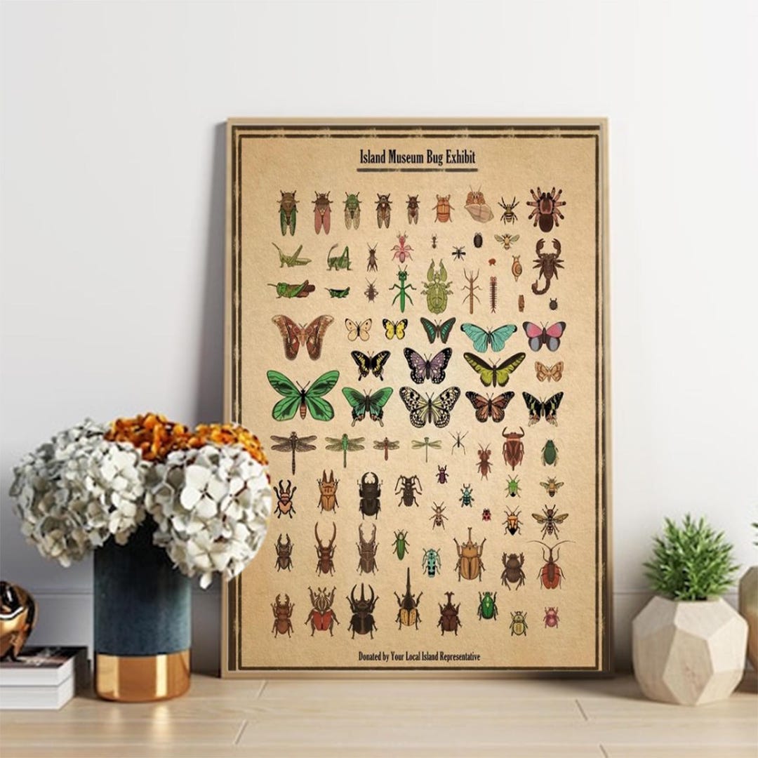 Exposition D'insectes Au Musée De L'île Poster - Etsy