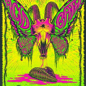 May include: A concert poster featuring a neon green and pink butterfly with a goat skull head. Text reads ACID BATH, HIGH ON FIRE, WINDHAND, SEPTEMBER 13 SYRACUSE, NY, SHARKEY'S PAVILLION. The design includes barbed wire borders and a central larva.
