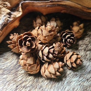 Mini Hemlock Pinecones: Natural Rustic Woodland Decor. Tiny Pine Cones for Crafts, Fairy Gardens, Resin Art, Rustic Wedding, Forest Witch