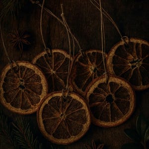 May include: Close-up of dried orange slices, each with a twine loop for hanging, set against a dark wooden background. The slices are a rich brown hue, with star anise and evergreen sprigs. A festive, natural decoration.