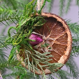 Dried Orange Slice Ornament: Handmade Yule Altar Decor, Set of 4