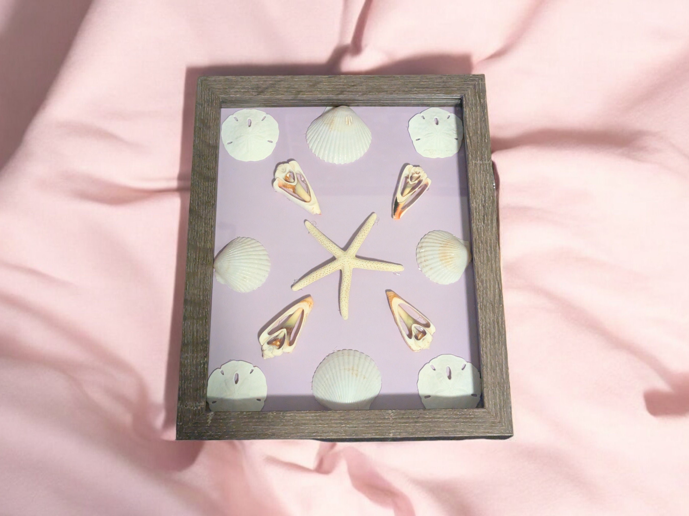 Sea Shell Art Shadow Box - Etsy