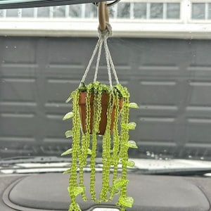 May include: A green beaded hanging plant with a brown pot, hanging from a rearview mirror in a car.