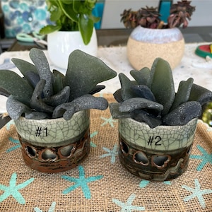 May include: Two small ceramic pots with a crackled glaze finish, each containing a cluster of dark green sea glass. The pots are labeled #1 and #2.