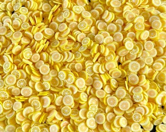 50 grams 5mm Lemon Slices Citrus Fruit Fake Food Fimo Slices Slime Polymer Clay
