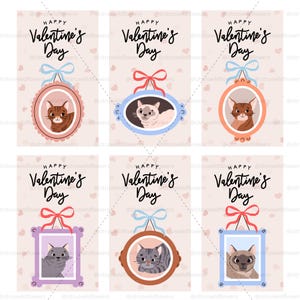 May include: Six Valentine's Day cards featuring cat portraits in ornate frames. Each card has the text "Happy Valentine's Day" with a decorative bow. The cat portraits vary in color and breed, set against a light pink background.