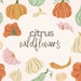 Citrus Wildflowers