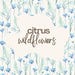 Citrus Wildflowers