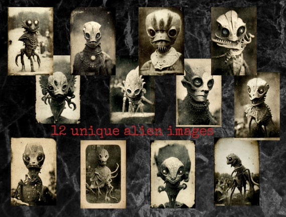絵画 Alien Donation Classified Alien Footage - 20 UFO and Alien Vintage Junk