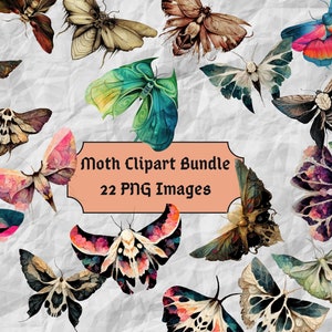 Images clipart papillon de nuit - 22 papillons de nuit numériques aquarelle PNG Clip Art Téléchargement instantané - Pack d'éphémères papillon peint - Sticker papillon