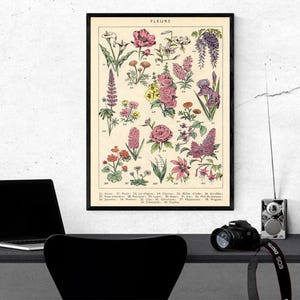 Vintage Lente Botanische Poster - Bloemenkaart Illustratie Een poster