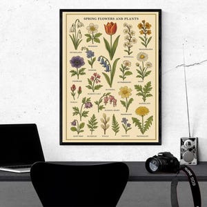 Vintage Lente Botanische Poster – Geïllustreerde Bloemenkaartposter