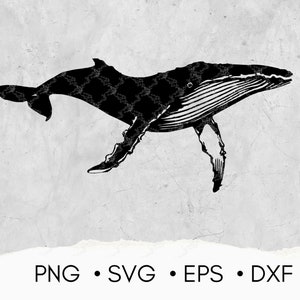 ザトウクジラ - SVG - PNG - DXF - eps | シルエット | クリップアート | 海の T シャツ デザイン | 回路用 SVG ファイル | ザトウクジラのシルエット