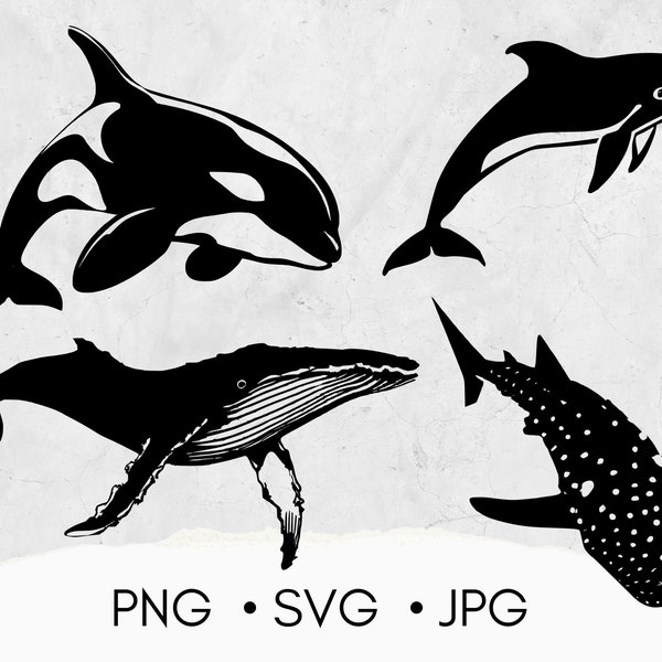 Pod pack | SVG - PNG - DXF - eps | Silhouette | ClipArt | Sea Animal T-shirt Designs | Svg files for circuit | whale dolphin silhouette