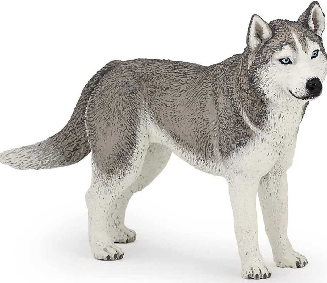 Cute Siberian Husky Figurine Etsy