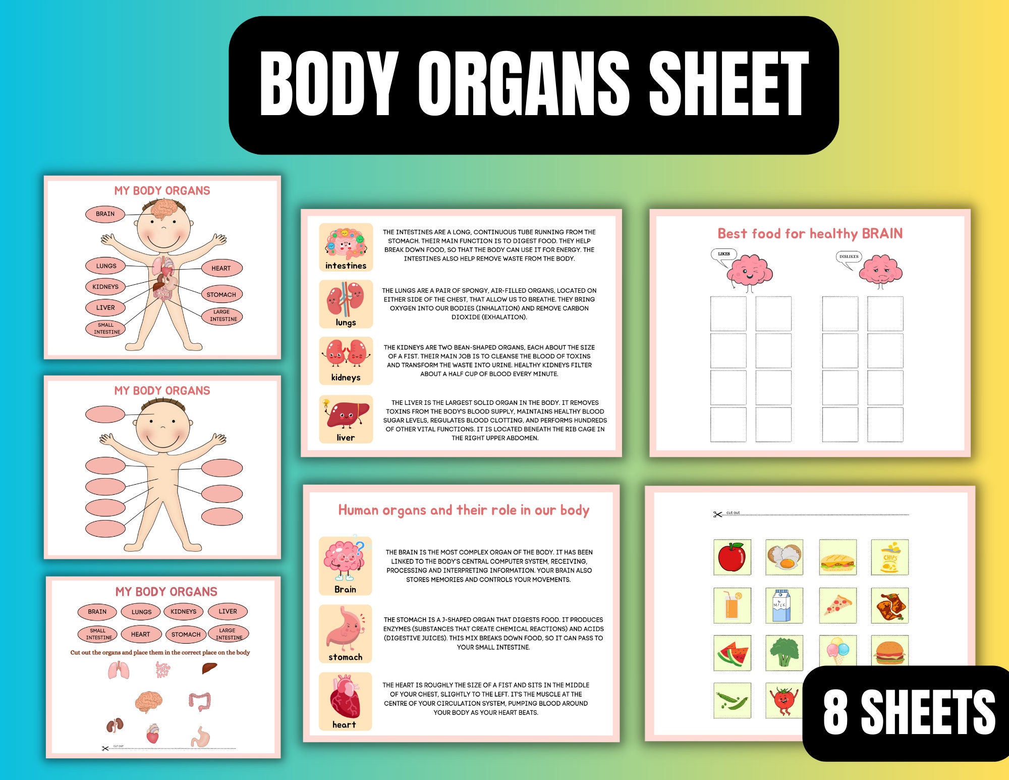 Anatomy Busy Book Printable Learning Binder Preschool Anatomy