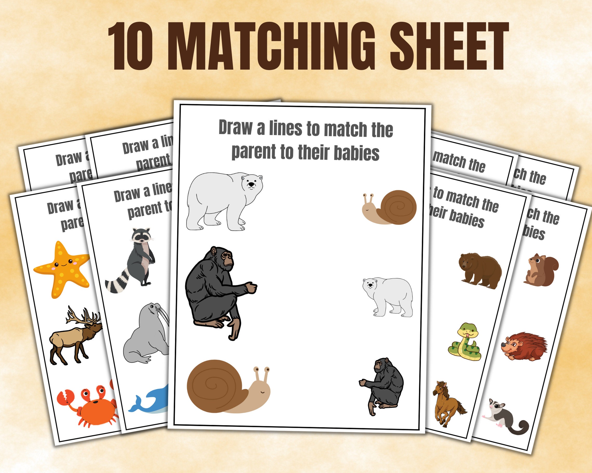 Preschool Comparison Worksheets, Preschool Worksheets, Preschool ...