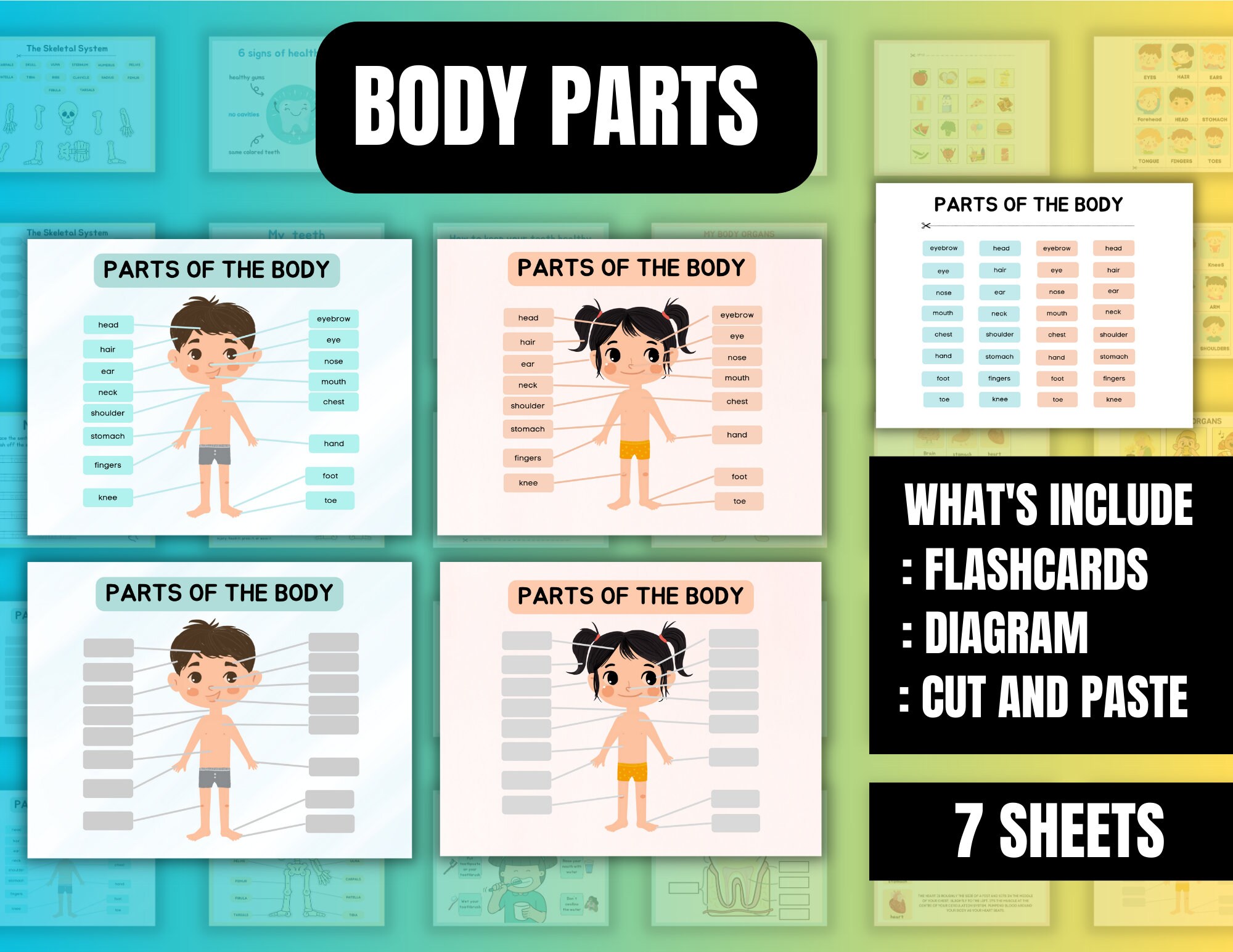 Human Anatomy Busy Book Printable Preschool Worksheets - Etsy
