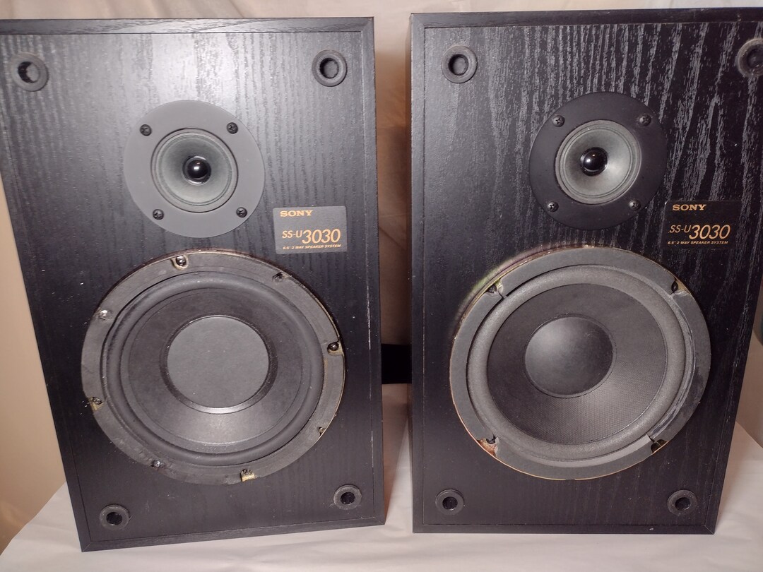 Sony Bookshelf Speakers With Five and One Quarter Inch Woofers Etsy