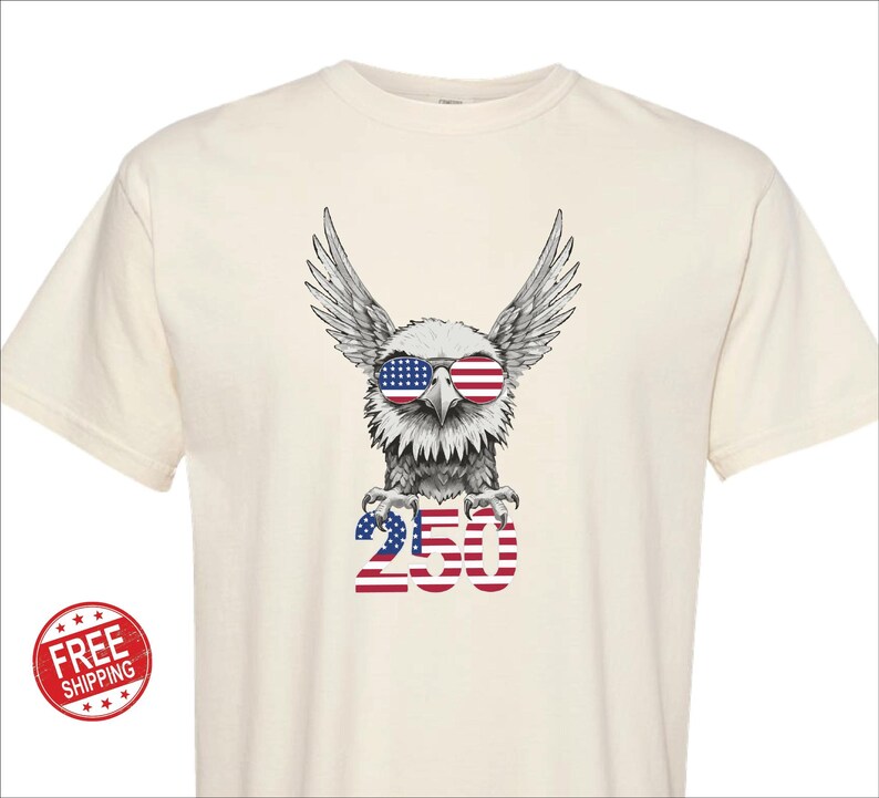 250周年記念USAシャツ イーグル アメリカ合衆国 誕生日 スウェットシャツ Tシャツ 快適カラー 画像 1