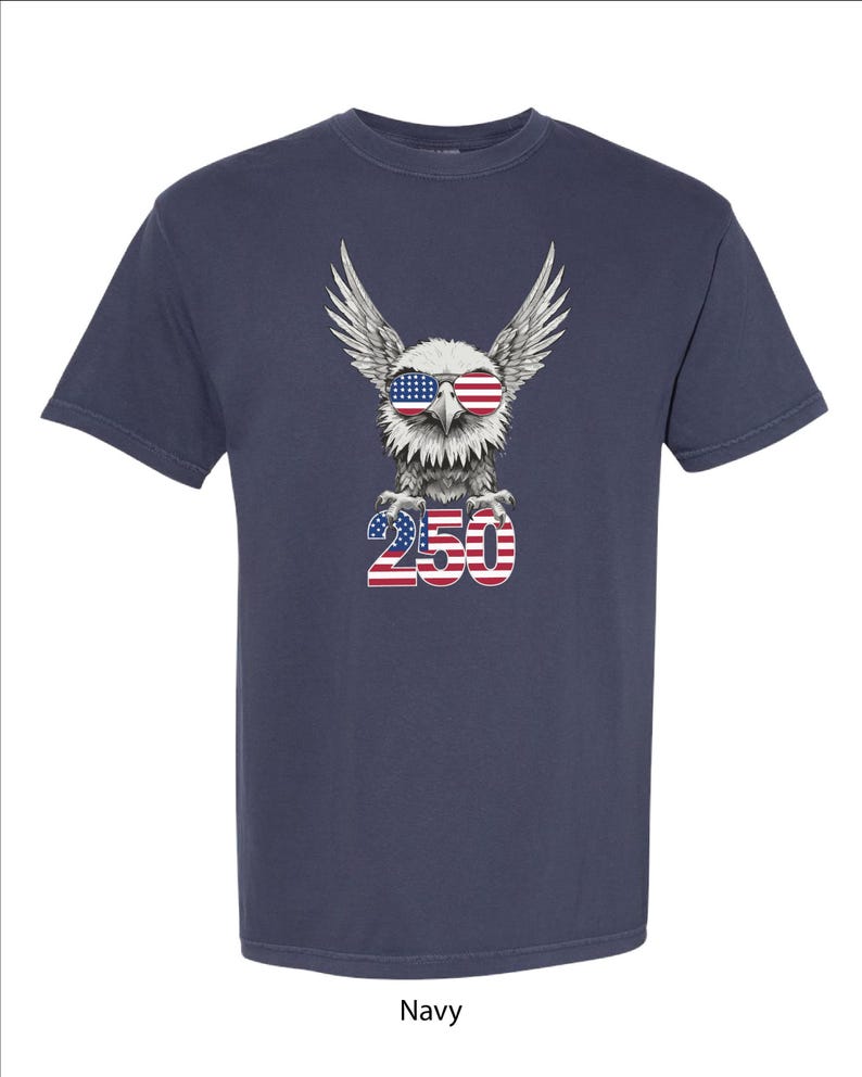 250周年記念USAシャツ イーグル アメリカ合衆国 誕生日 スウェットシャツ Tシャツ 快適カラー 画像 2