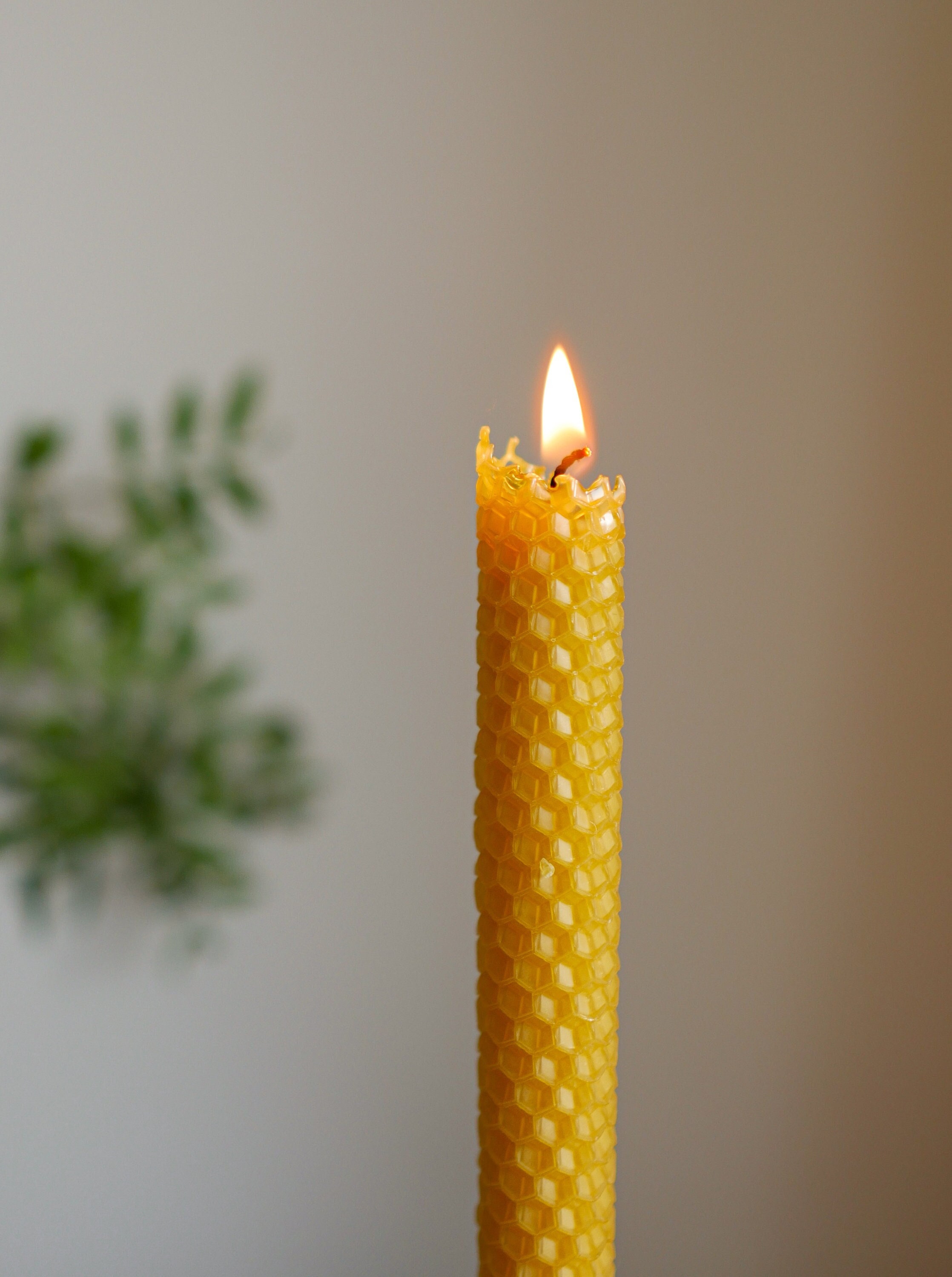 Set De 6 Velas De Cera De Abeja + 2 Palos Santos XL - Artesanales, Con Diseño De Panal, Ideales Para Decoración Y Ambiente