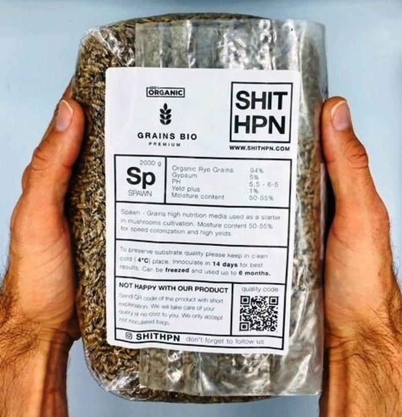 1kg Organic Rye Berry Grain Spawn Bag Properly hydrated, Supplemented and Sterilized Mushroom Grow Bag Shihpn l chines bags zdjęcie 2
