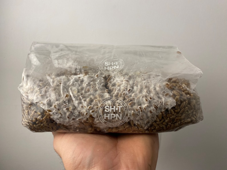 1kg Organic Rye Berry Grain Spawn Bag Properly hydrated, Supplemented and Sterilized Mushroom Grow Bag Shihpn l chines bags zdjęcie 4