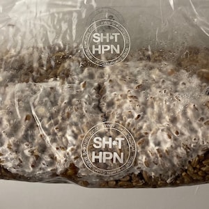 1kg Organic Rye Berry Grain Spawn Bag Properly hydrated, Supplemented and Sterilized Mushroom Grow Bag Shihpn l chines bags zdjęcie 5