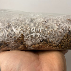 1kg Organic Rye Berry Grain Spawn Bag Properly hydrated, Supplemented and Sterilized Mushroom Grow Bag Shihpn l chines bags zdjęcie 1
