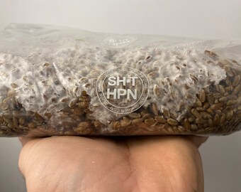 1kg Organic Rye Berry Grain Spawn Bag - Properly hydrated, Supplemented and Sterilized - Mushroom Grow Bag - Shi*hpn l chines bags