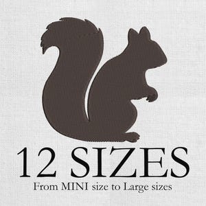 Puede incluir: Silueta marrón de una ardilla con una cola grande y tupida sobre un fondo blanco. El texto "12 SIZES" está debajo, con "From MINI size to Large sizes" debajo.