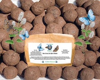 20 New Jersey Tea Seed Bombs for Endangered Mottled Duskywing Butterflies & Vital Pollinators | Spirit Bombs