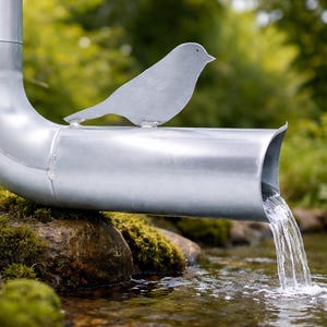 Zinken dakgootafvoer, regenpijpverlengstuk, decoratieve vogelvormige dakafvoer Ø60 Ø80 Ø100