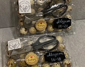 Premium Unfertilized Button Quail Eggs Perfect for Pet Food African Egg