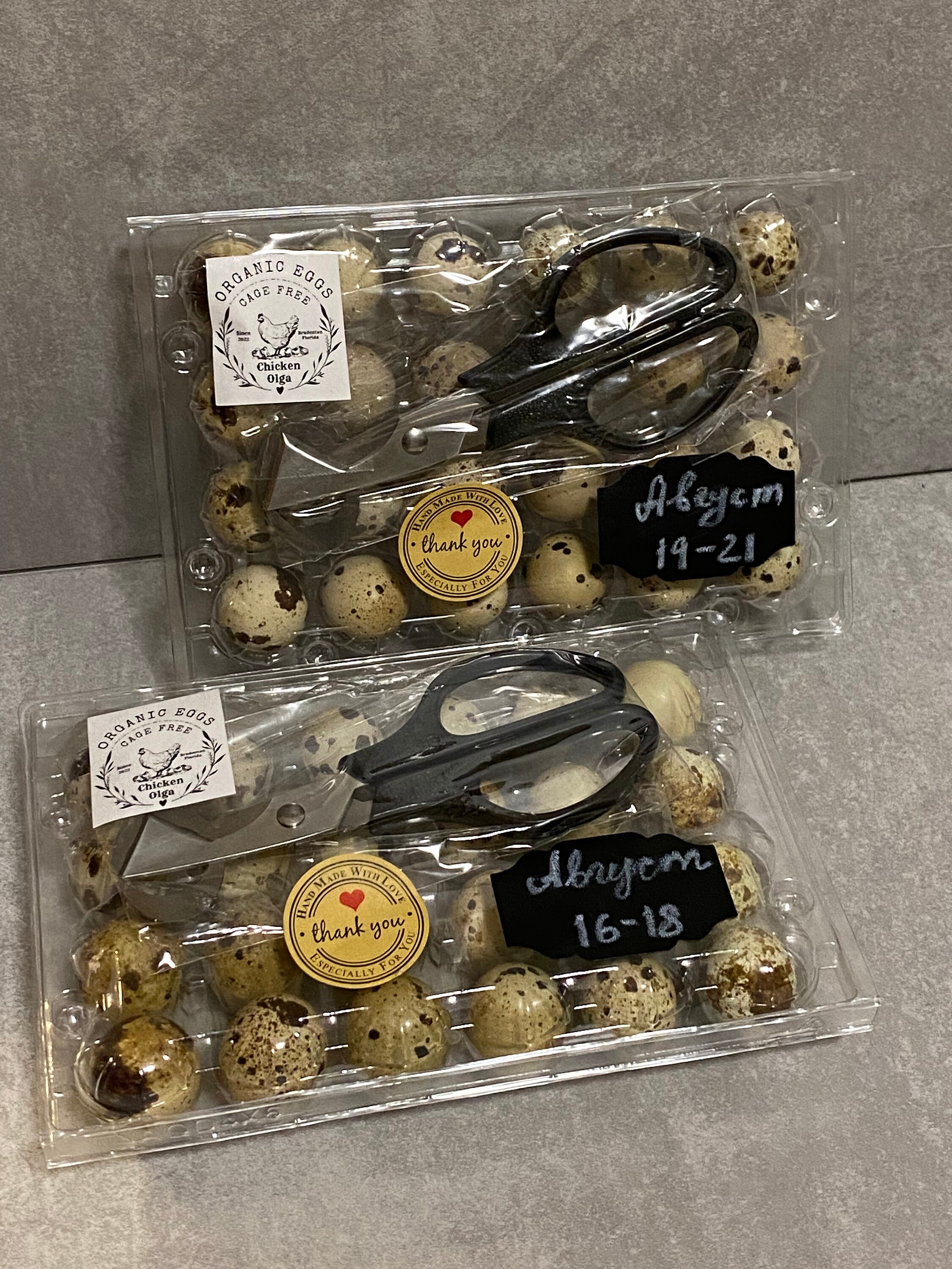 Fertilized Quail Eggs - Etsy