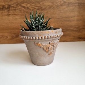May include: A small succulent plant in a gray ceramic pot with gold accents. The pot has a decorative design with a beaded rim.