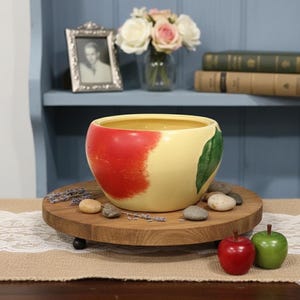 Jardinière de pommes en céramique vintage peinte à la main, bol de fruits rouge jaune, pot succulent