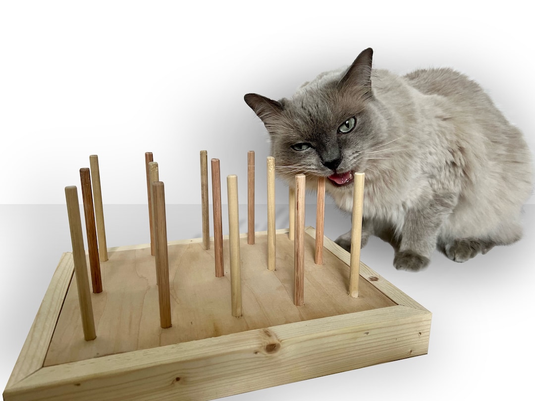 Chew toys for cats with pica 2025