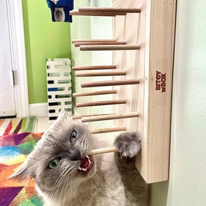 Mur BiteyBox