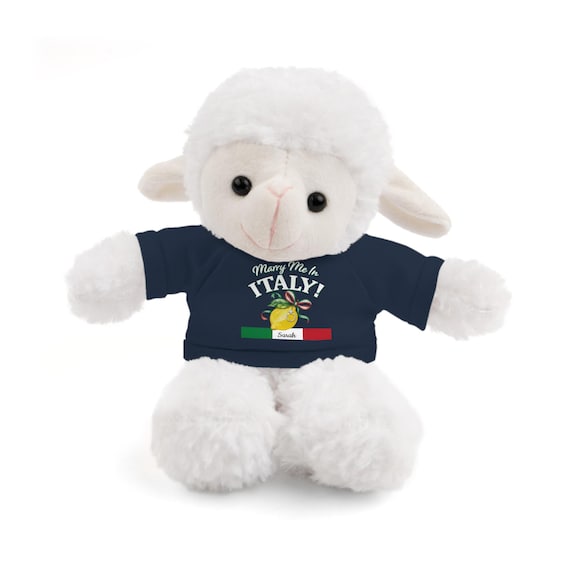 イタリア風プロポーズぬいぐるみとTシャツ｜イタリア国旗をモチーフに