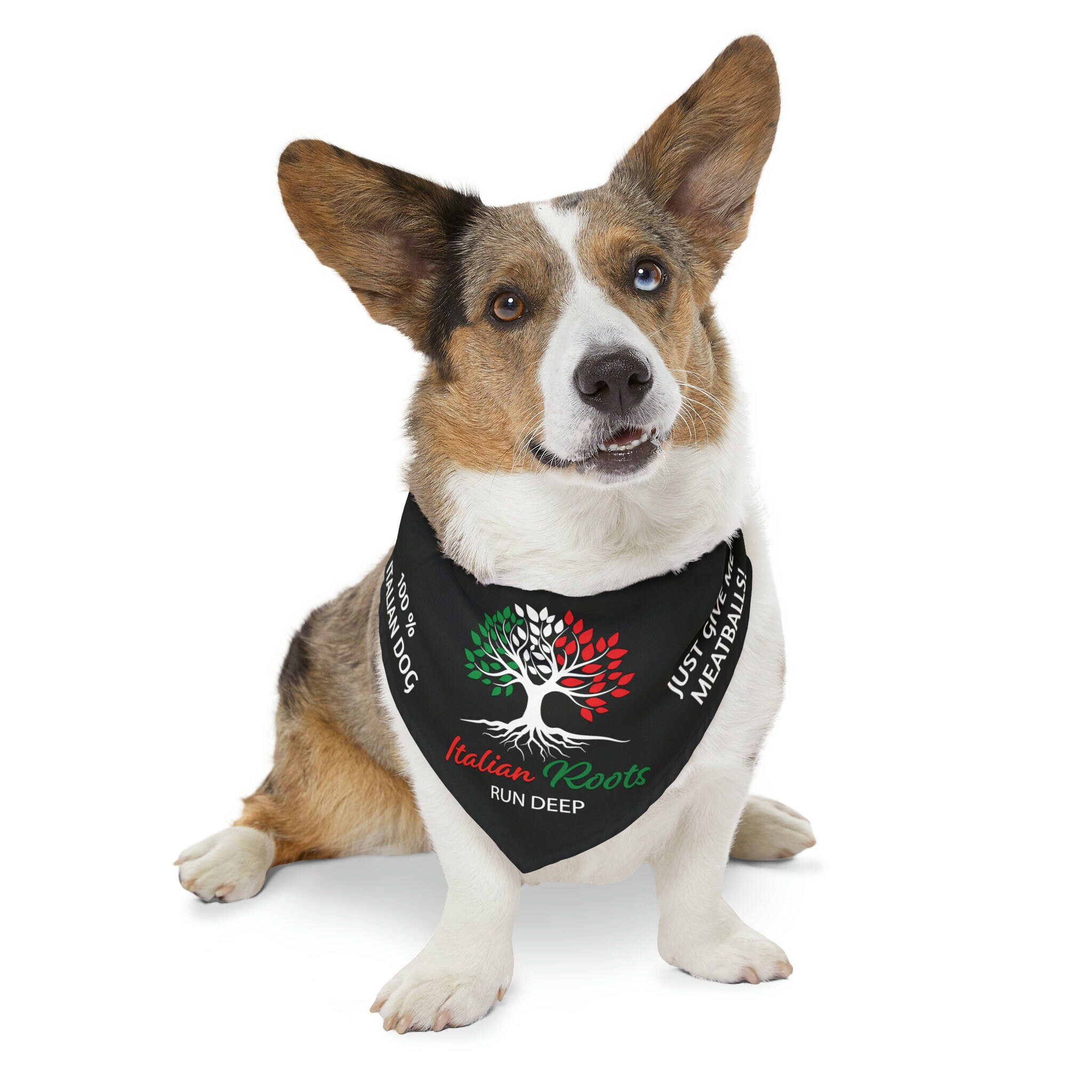 Roots dog clearance collar