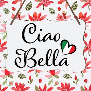 Italian Ciao Bella Wall Decor, Italian Flag Heart Gift Idea, Italian Kitchen Decoration, Italian Wood Panel Art, Ciao Bella Gift for Her