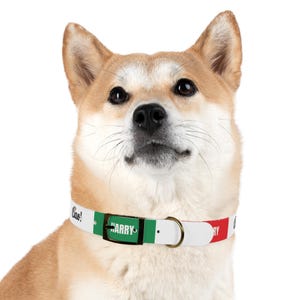 Gepersonaliseerde Italiaanse hondenhalsband: custom huisdieraccessoire van TPU