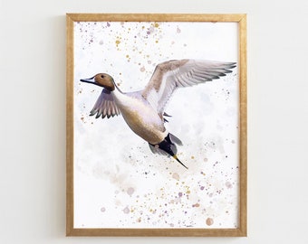 水鳥の水彩画 - オナガガモ（デジタル印刷可能）