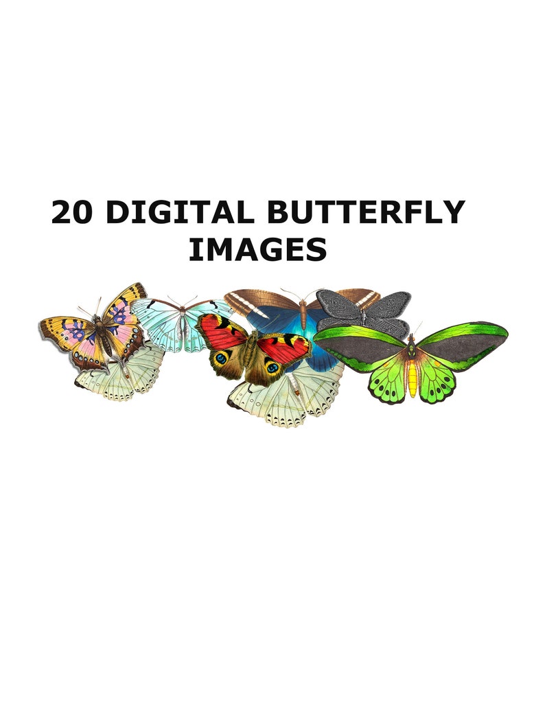 Butterfly Collage Sheet Vintage Butterfly Collage Kit Etsy