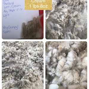 Lou 23 - White Raw Shetland Wool