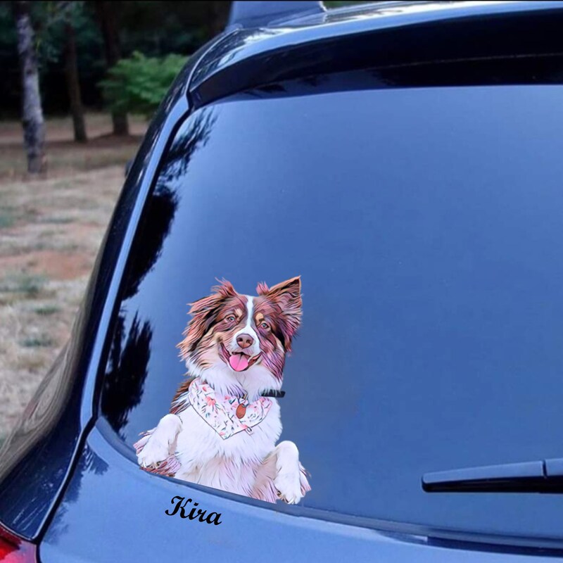 Curated visual reference: Visual Reference: Custom Pet Stickers