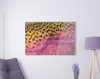 Rainbow Trout Art Acrylic Trout Art Print